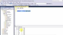 SQL Server Course for Beginners with 100+ examples - SELECT INTO Statement in SQL Instructional Video