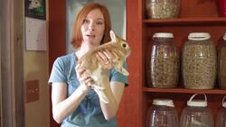 How To Hold A Rabbit Instructional Video