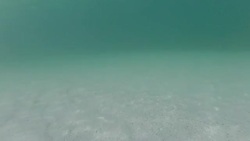 HD - Deep water. Underwater in the blue sea background. Stock Footage