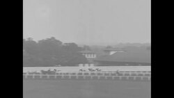 My Dandy wins the Olympia Fields Handicap in 1929 News Clip