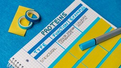 Protein types, functions and examples with my flashcard notes Instructional Video