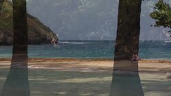 Beach Escape to 5 Beautiful Caribbean Beaches Instructional Video