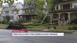 Officials: Large tree falls on 2 homes in East Orange; no injuries reported Instructional Video