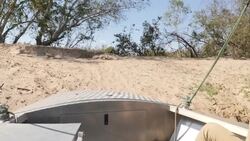 Crocodile on the banks of the Zambezi River News Clip