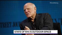 Barry Diller's $260 Million Park Opens Off Manhattan News Clip