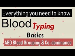 Blood Typing: ABO Blood Grouping & Codominance Instructional Video