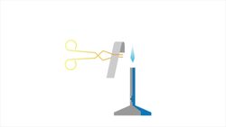 What Is Group 2? Alkaline Earth Metals Instructional Video