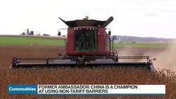 China's Canola Restrictions Echo Past Retaliations, Ex-Canadian Amb. Says News Clip