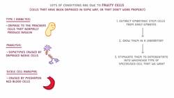 GCSE Biology - Stem Cells in Medicine Instructional Video