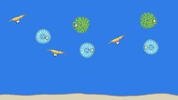 This Country Has Something Everyone Else Wants Instructional Video