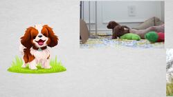 Why Can't Animals Talk Like Humans? Instructional Video