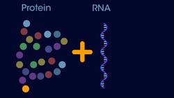 What Is Cancer? Instructional Video