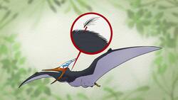 7 Dinosaurios que no son dinosaurios (CORREGIDO) - CuriosaMente 205 Instructional Video