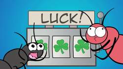 Genetic Drift Instructional Video