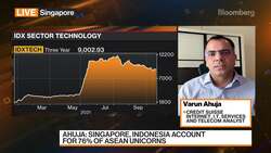 Assessing the Prospects for Unicorns in Southeast Asia News Clip