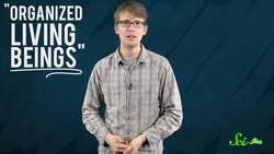 IDTIMWYTIM Organic Instructional Video