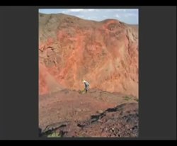 New dinosaur species sheds light on the beginnings of birds and dinosaurs Instructional Video