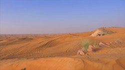 Biomes Instructional Video