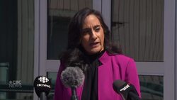 Defence minister says about 250 Canadians evacuated from Sudan News Clip