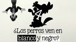 ¡10 preguntas curiosas sobre los perros! Instructional Video