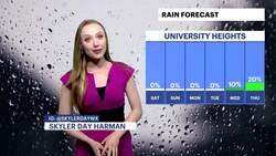 Delightful weekend weather in store, temps to remain in the 80s in The Bronx News Clip