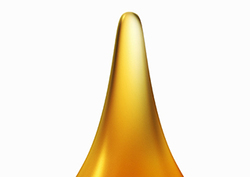 Fossil Fuels: Formation Instructional Video