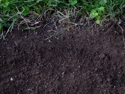 Suelo y rocas: video de evaluación Instructional Video