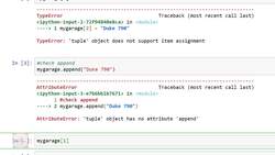 Deep Learning - Computer Vision for Beginners Using PyTorch - Tuples and Sets in Python Instructional Video