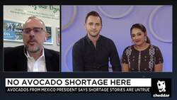 There Will Be No Shortage of Avocados at Your Super Bowl Party: Avocados from Mexico President News Clip