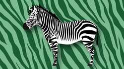 I WONDER - Are There Different Species Of Zebra? Instructional Video