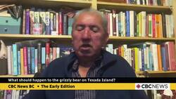 What should happen to the grizzly bear on Texada Island? News Clip