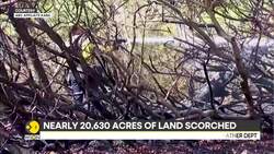 California: Ferocious Wildfires Force Californians To Evacuate As Homes and Buildings Burn News Clip