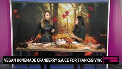Stretching Your Dollar: Thanksgiving Options for Vegans News Clip