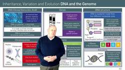 DNA and the Genome Instructional Video