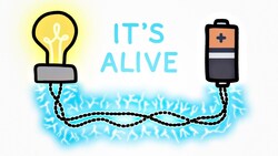 Electrical Wires Made Of Bacteria Instructional Video