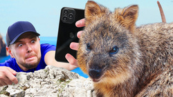 Giant Rats the Size of Dogs Instructional Video