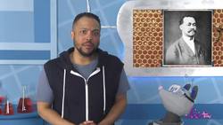 Bugs Aren’t Brainless! | Storytime: Charles Henry Turner Instructional Video