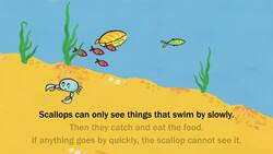 Does an Owl Wear Eyeglasses? Instructional Video