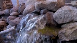 Efficient Farming with Aquaponics Instructional Video