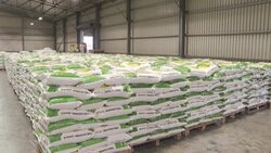 CLEAN : Congolese party leader, Moïse Katumbi, invests in agriculture to feed Katanga News Clip