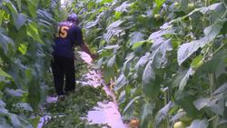 Here's what a new natural gas project will mean to Windsor-Essex Instructional Video