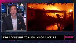 Fires Continue to Burn in Los Angeles News Clip