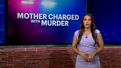 Evidence that helped detectives crack the case in the 2020 murder of newborn twins News Clip