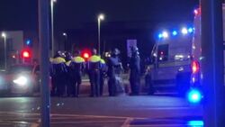 Garda commissioner condemns 'thuggery' after violence flares in Dublin News Clip