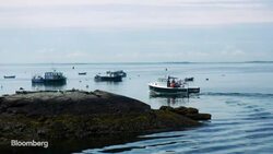 New England Lobster Caught in Global Tariff Tit-for-Tat News Clip