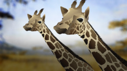 Why The Giraffe Got Its Neck Instructional Video
