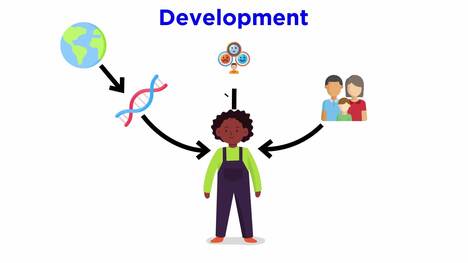 Introduction to Developmental Psychology: Piaget’s Stages