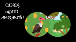 What vultures do? - Malayalam Instructional Video