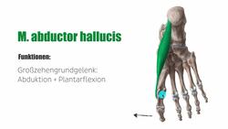 Großzehenloge der Fußsohle Instructional Video