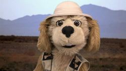 Animal Alphabet: W is for Wild Ass Instructional Video